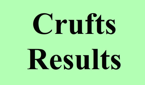 Crufts 2024 Results