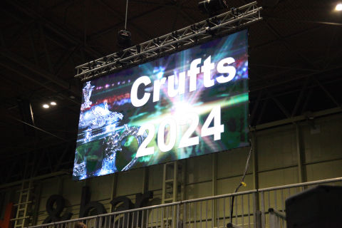 Crufts 2024 Team Photos