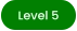 Level 5