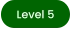 Level 5