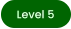 Level 5