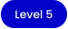 Level 5