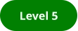 Level 5