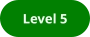 Level 5