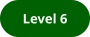 Level 6