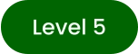 Level 5