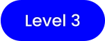 Level 3