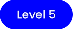 Level 5