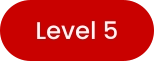 Level 5