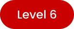 Level 6
