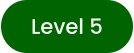 Level 5