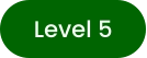 Level 5