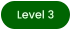 Level 3