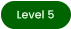 Level 5