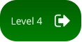 Level 4